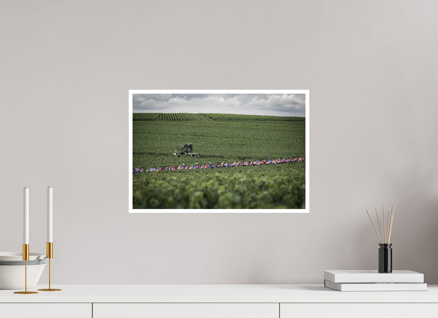 The peloton through the vineyard