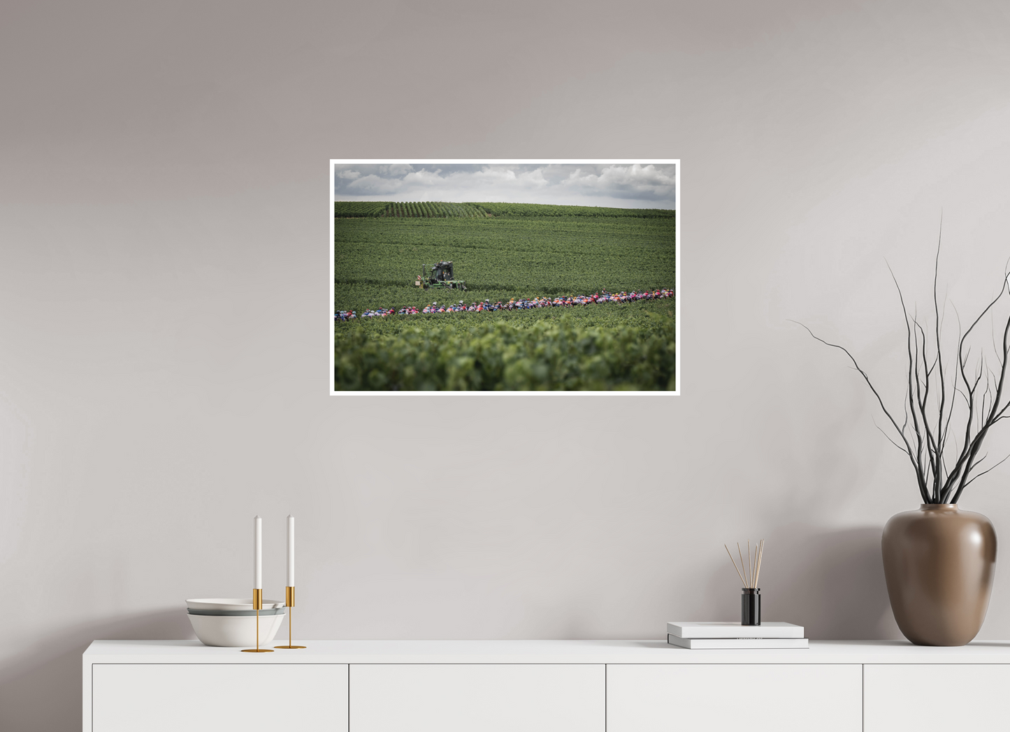 The peloton through the vineyard