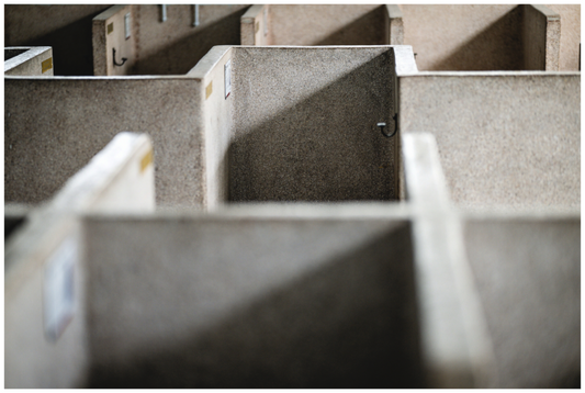 Main image Paris Roubaix Shower