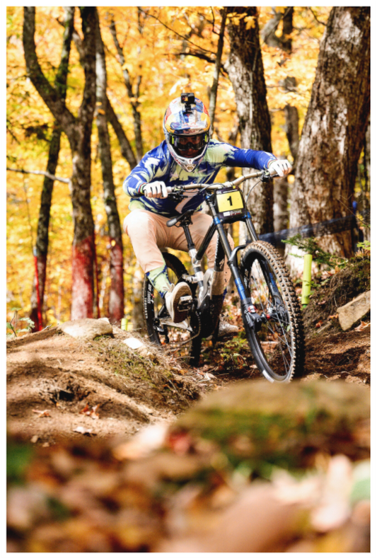 Main image Fall in Love - MSA 24 / Vertical version