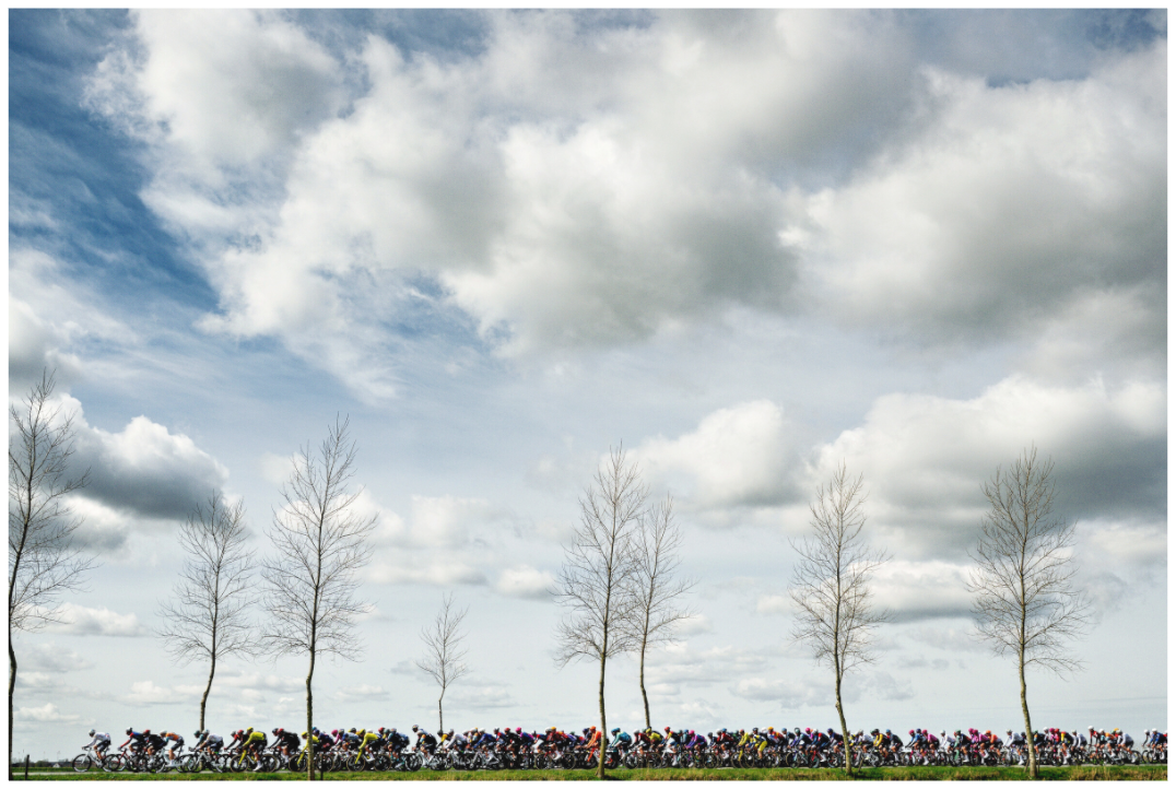 Main image Flanders fields 2026 - The peloton true the field