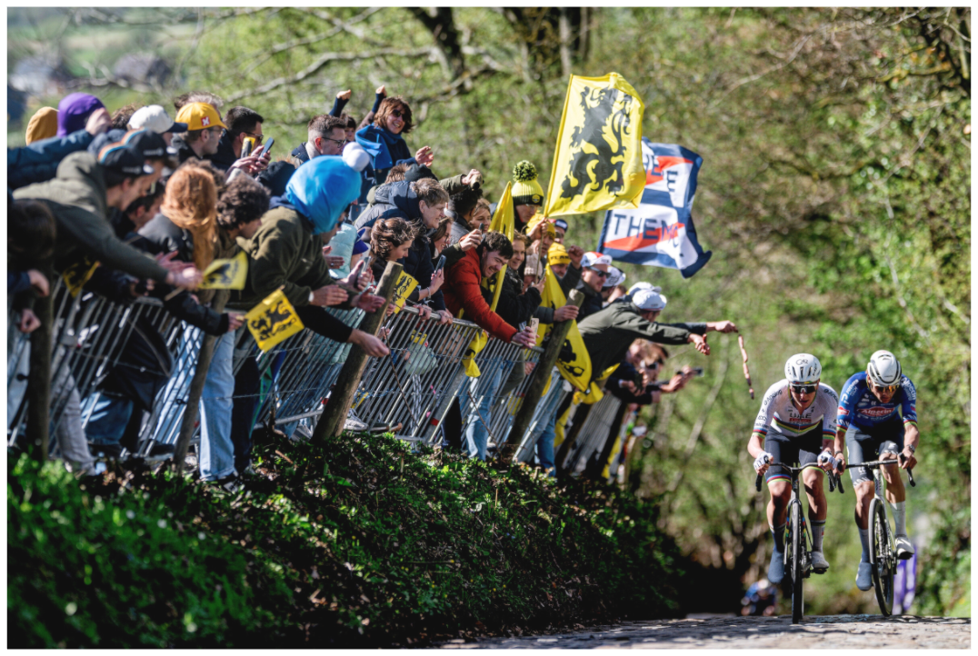 Main image MVDP x Pogacar - Koppenberg / RVV 26