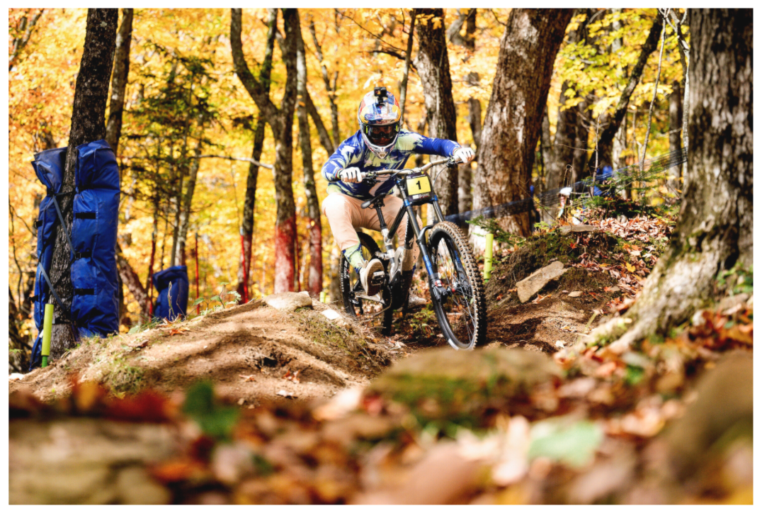 Main image Fall in Love ith Msa by Loic Bruni