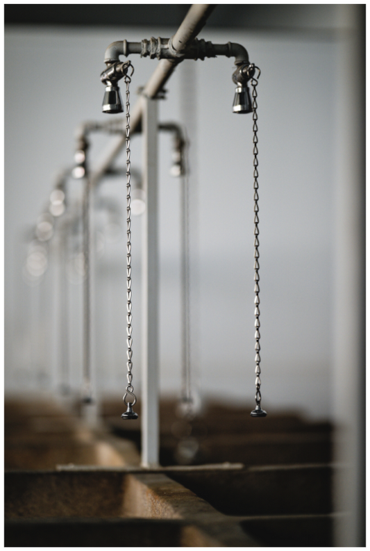 Main image Paris Roubaix showers