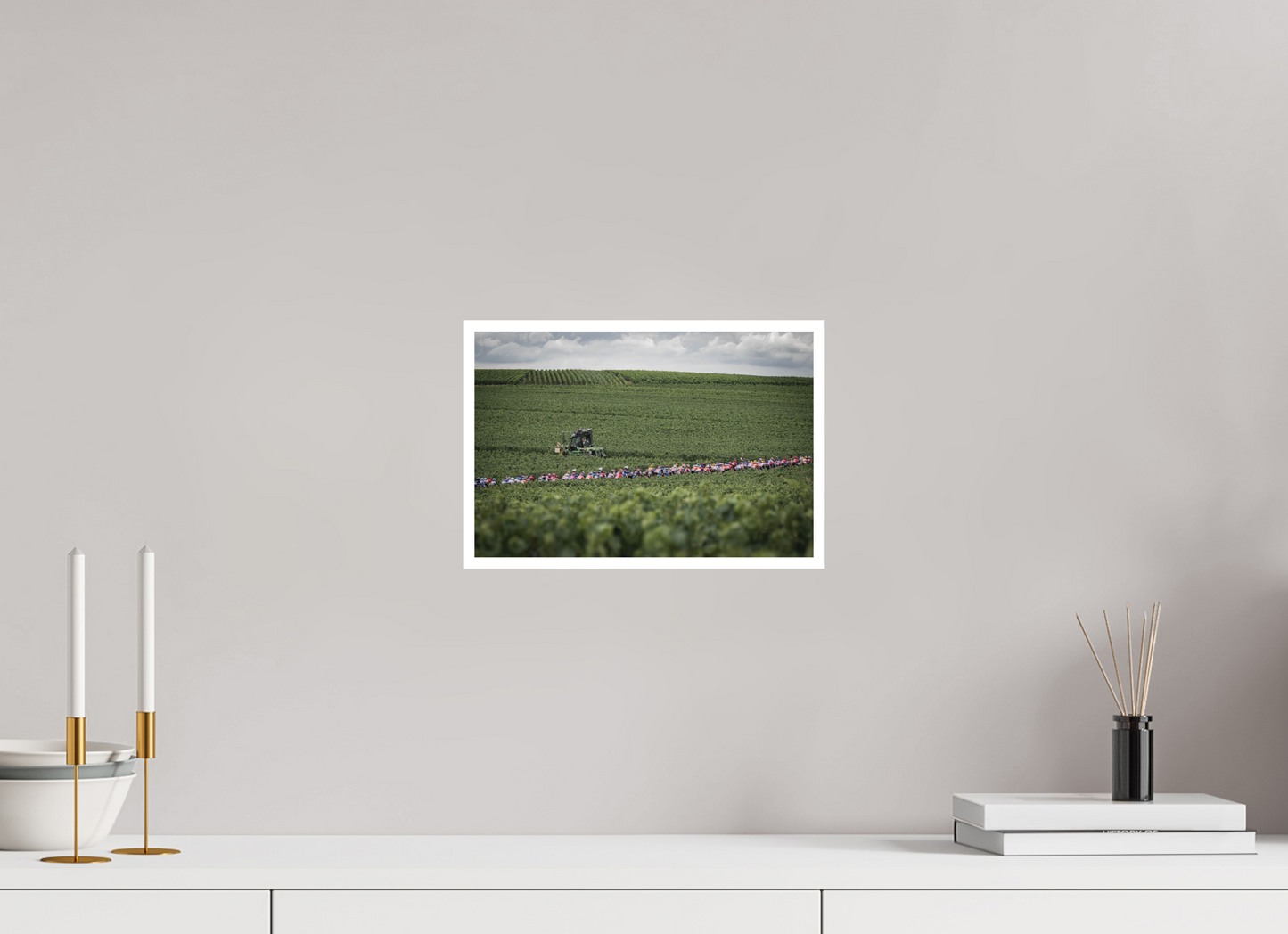 The peloton through the vineyard
