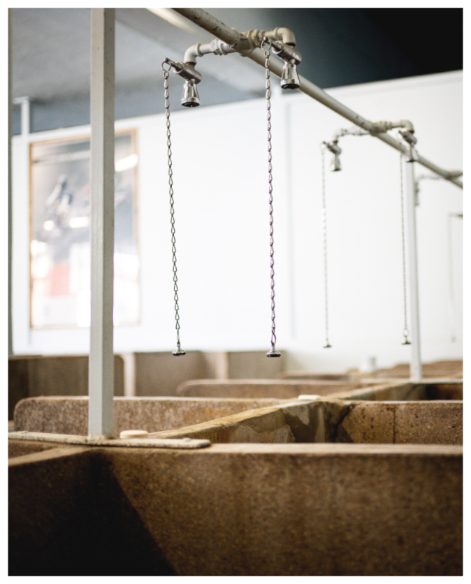 The Iconic Paris Roubaix Showers IIII