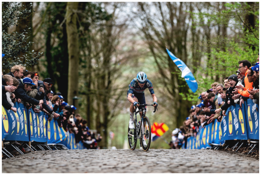 Main image Flanders Field 2026 / Paul Magnier X Kemmelberg