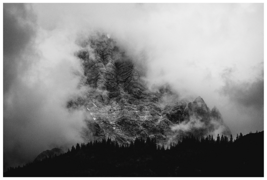 Foggy B&W Landscape