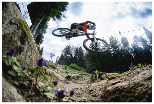 Flying Bruni