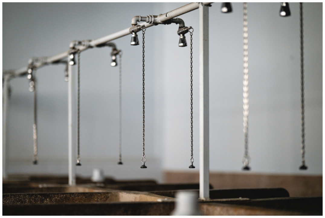 Main image the iconic Paris Roubaix shower